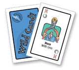 WildCards